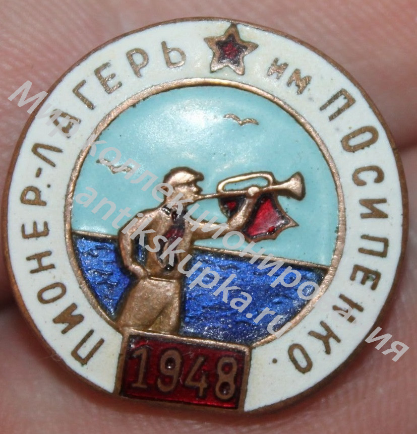 Знак пионер-лагерь имени П.О.Сипенко. Знак пионер-лагерь имени П.О.Сипенко.