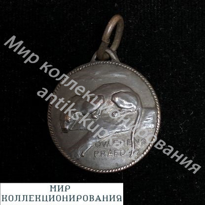 Италия Медаль Ветерана За службу на крейсере Пантера Италия Медаль Ветерана За службу на крейсере Пантера