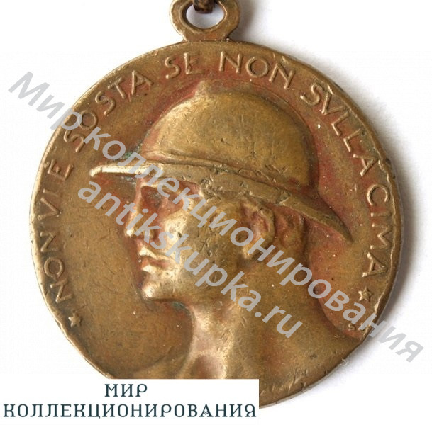 ИТАЛИЯ. Медаль 231-го пехотного полка бригады Avellino. 1916 - 1918 год. ИТАЛИЯ. Медаль 231-го пехотного полка бригады Avellino. 1916 - 1918 год.