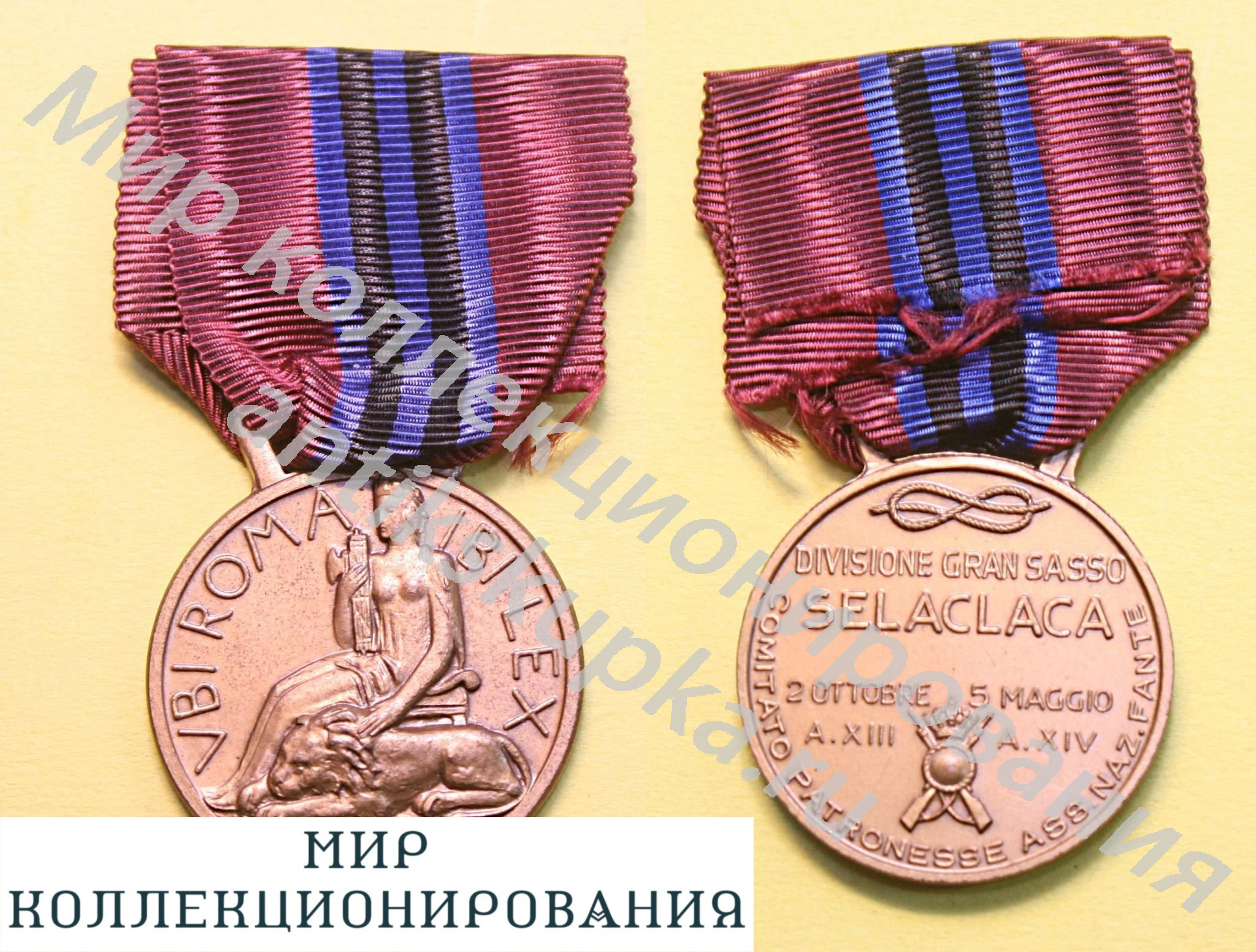 Италия. Медаль 24-й стрелковой дивизии Gran Sasso. Эфиопия. 1935-1936 год Италия. Медаль 24-й стрелковой дивизии Gran Sasso. Эфиопия. 1935-1936 год