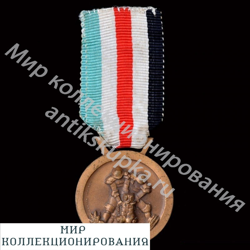 Итало-германская медаль за африканскую кампанию Итало-германская медаль за африканскую кампанию