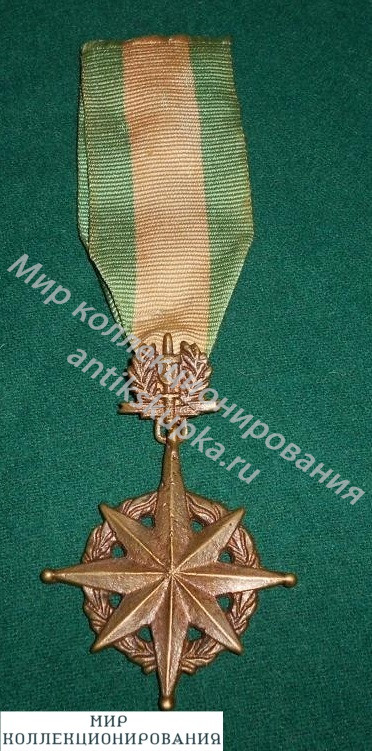 Медаль военной полиции. Южный Вьетнам. 1960 г. Медаль военной полиции. Южный Вьетнам. 1960 г.