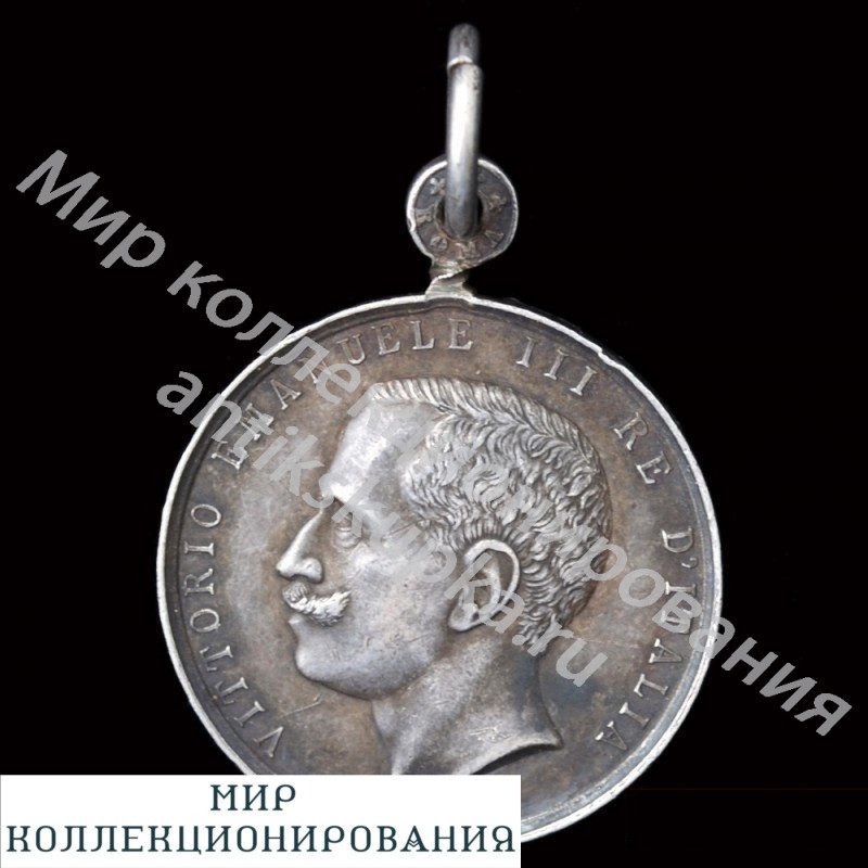 Серебряная медаль итальянских школ за границей Серебряная медаль итальянских школ за границей