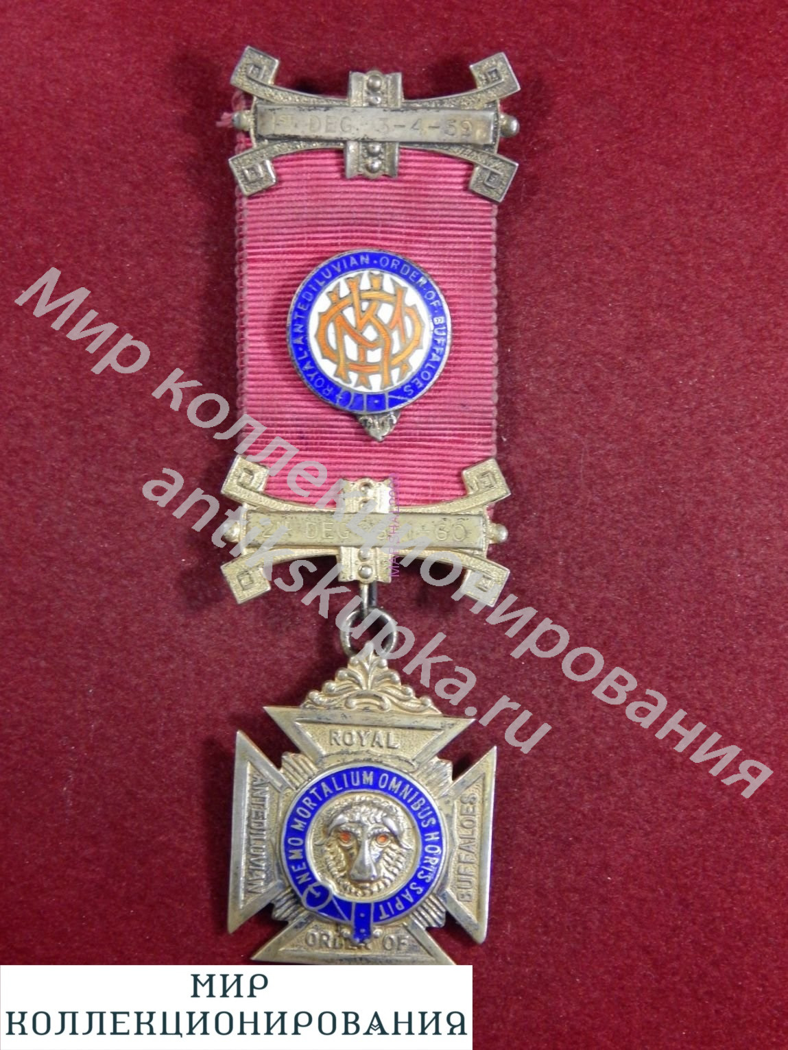 Серебряная медаль масонов, Англия, Ордена буйволов Knight Order of Merit. Серебряная медаль масонов, Англия, Ордена буйволов Knight Order of Merit.