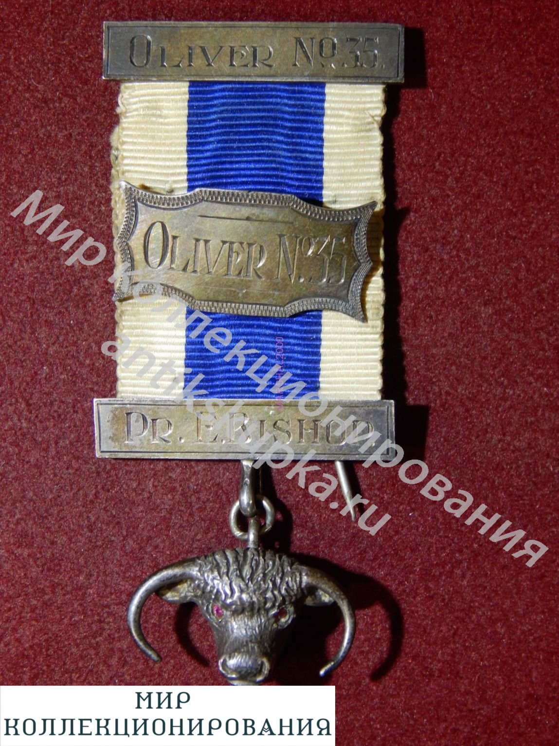 Серебряная медаль масонов, Англия, RAOB Order of Buffaloes Серебряная медаль масонов, Англия, RAOB Order of Buffaloes