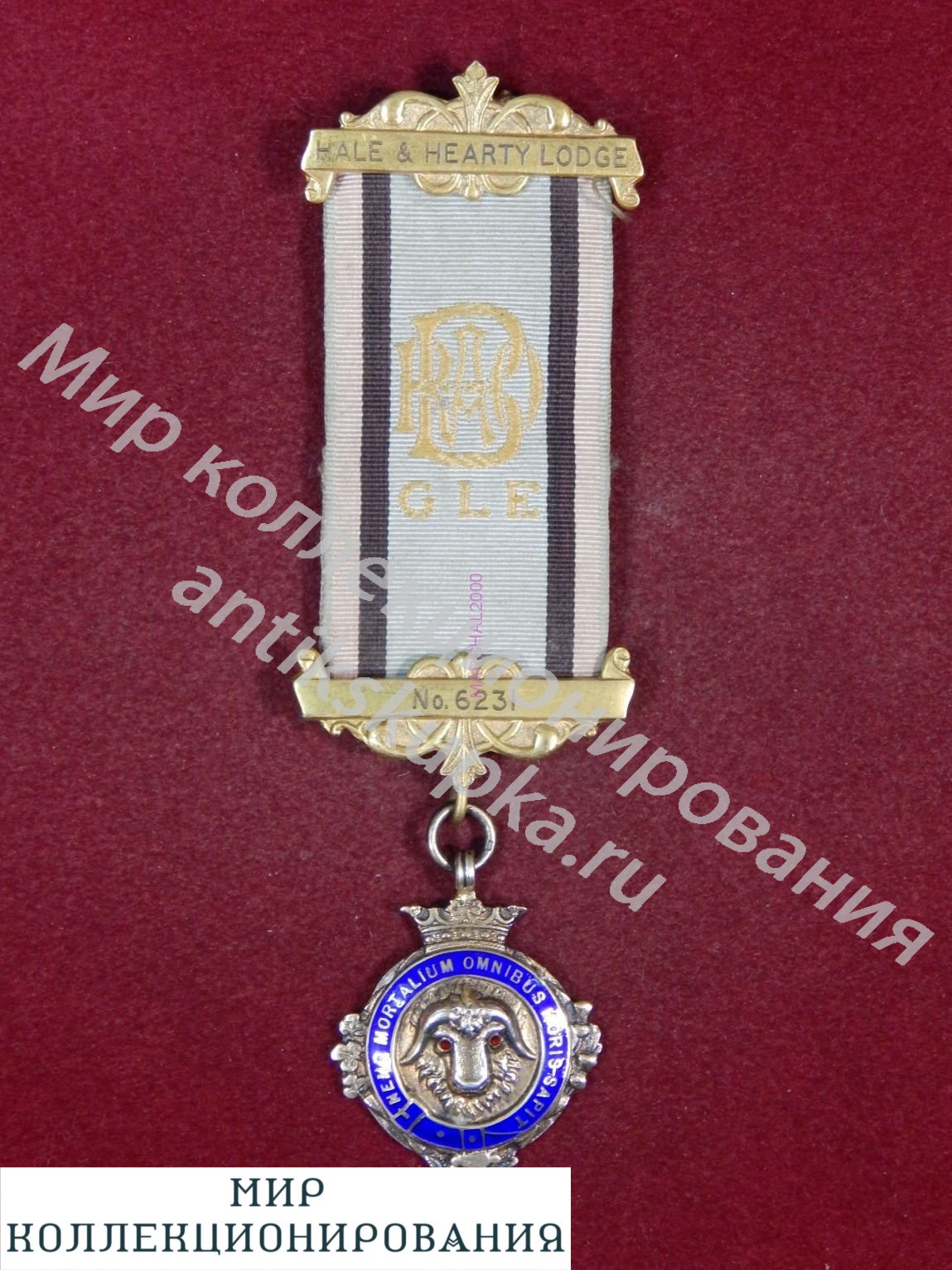 Серебряная медаль масонов, Англия, RAOB Order of Buffaloes, Hale and Hearty Серебряная медаль масонов, Англия, RAOB Order of Buffaloes, Hale and Hearty