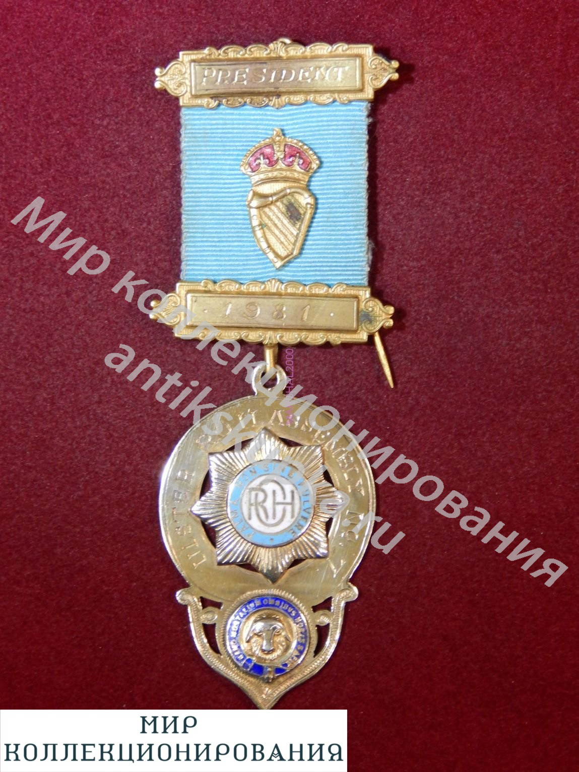 Серебрянная медаль, Англия, RAOB Order of Buffaloes, 1973 год Серебрянная медаль, Англия, RAOB Order of Buffaloes, 1973 год